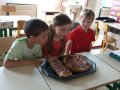 IMG_20250502_150446