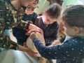 IMG-20250509-WA0005