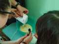 IMG-20250509-WA0020