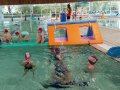 IMG_20250527_102202