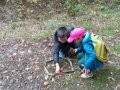 IMG_20261016_103738