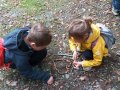 IMG_20261016_104027