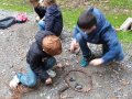 IMG_20261016_104141