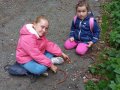 IMG_20261016_104324