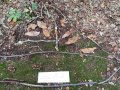 IMG_20261016_105108