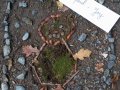 IMG_20261016_105229