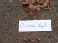 IMG_20261016_105323