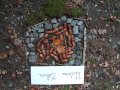 IMG_20261016_105428