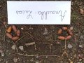 IMG_20261016_105445