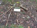 IMG_20261016_105628