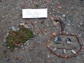 IMG_20261016_105647