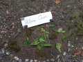 IMG_20261016_105657