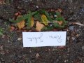 IMG_20261016_105739