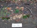 IMG_20261016_105749