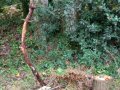 IMG_20261016_105841