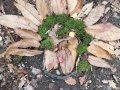 IMG_20261016_110129