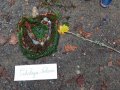 IMG_20261016_130509