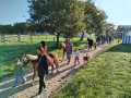 IMG-20250925-WA0002