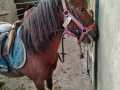 IMG-20250925-WA0006