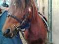 IMG-20250925-WA0008