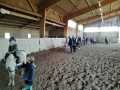 IMG-20251002-WA0001