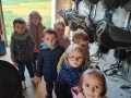 IMG-20251002-WA0003