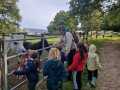 IMG-20251002-WA0006